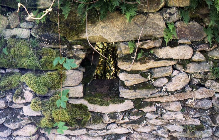 Ruina na Tisovskej Poľane