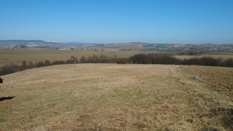 "B&aacute;lintova" pustatina